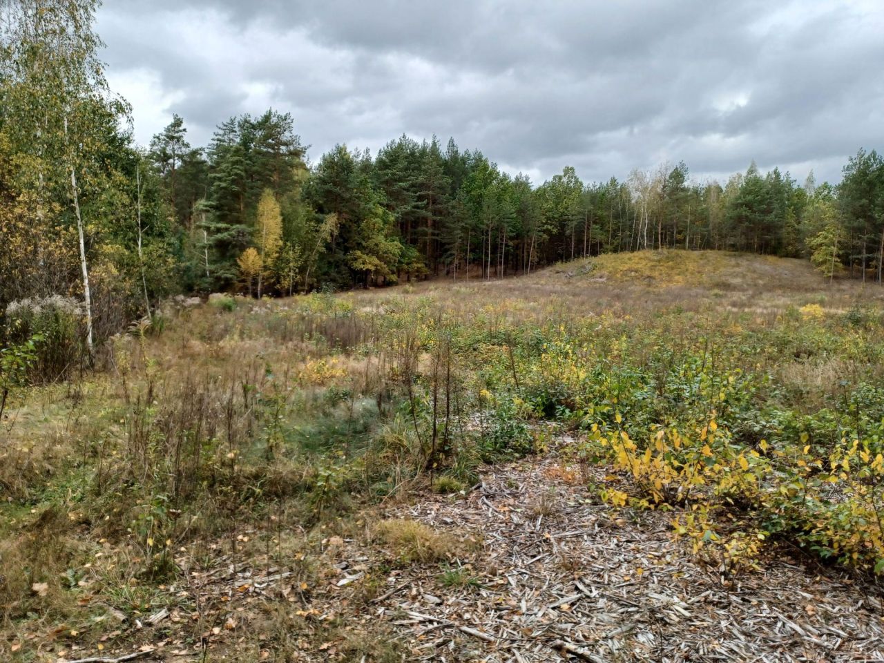 Działka rolno-budowlana Sochonie, ul. Brzozowa. Zdjęcie 7