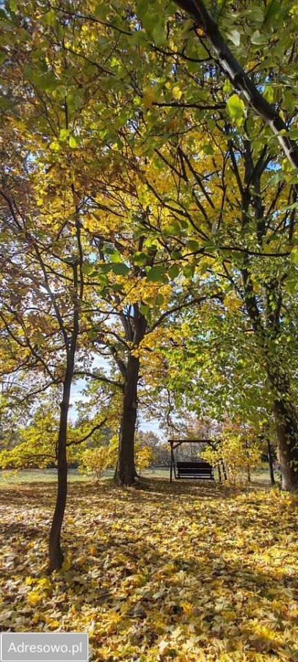 dom wolnostojący, 5 pokoi Parszów. Zdjęcie 11