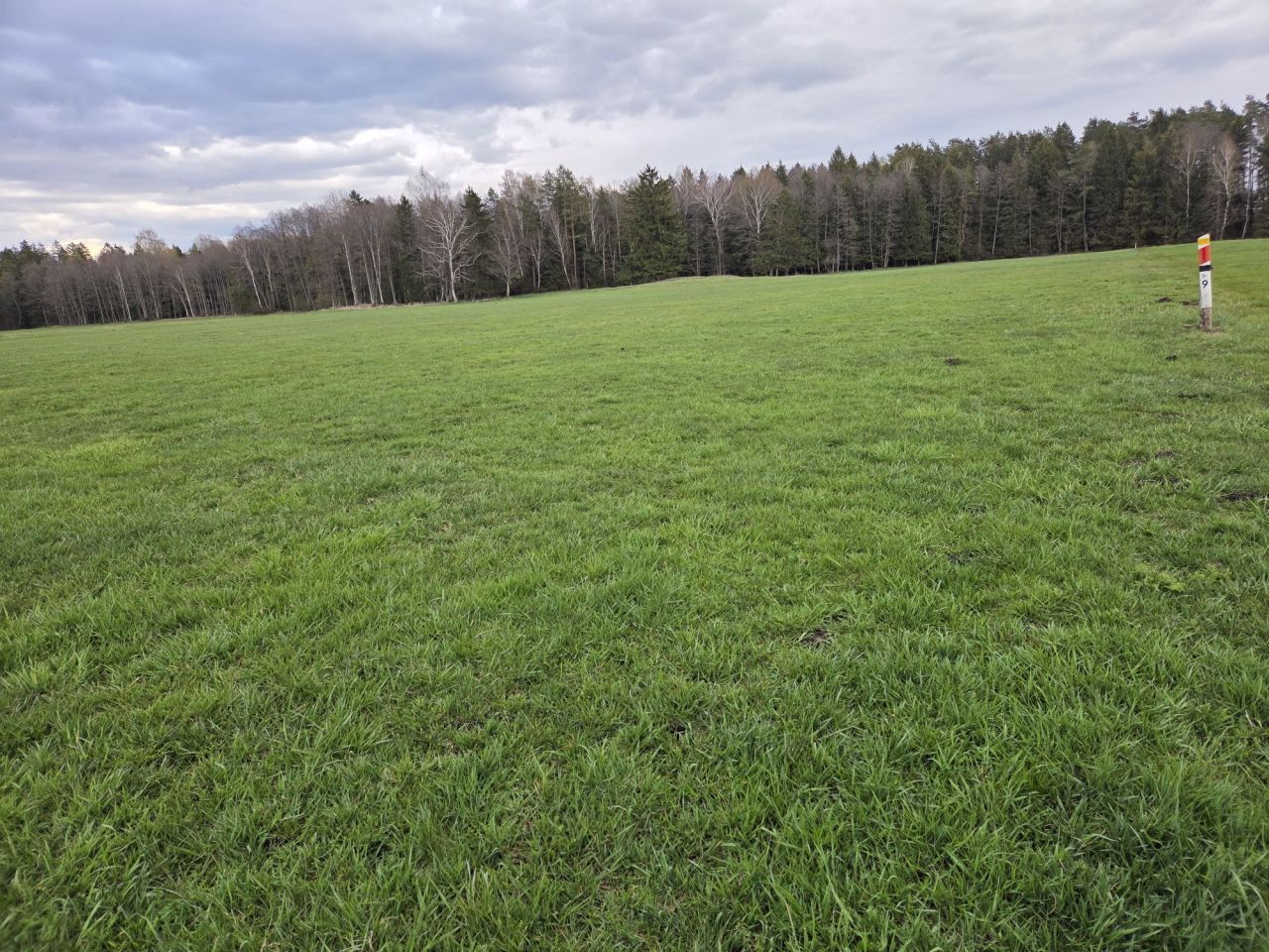 Działka rolna Skieblewo. Zdjęcie 2