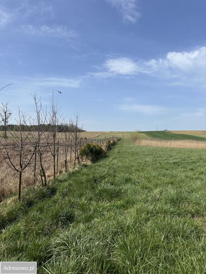 Działka rolno-budowlana Dębe, ul. Na Trzciniec. Zdjęcie 5