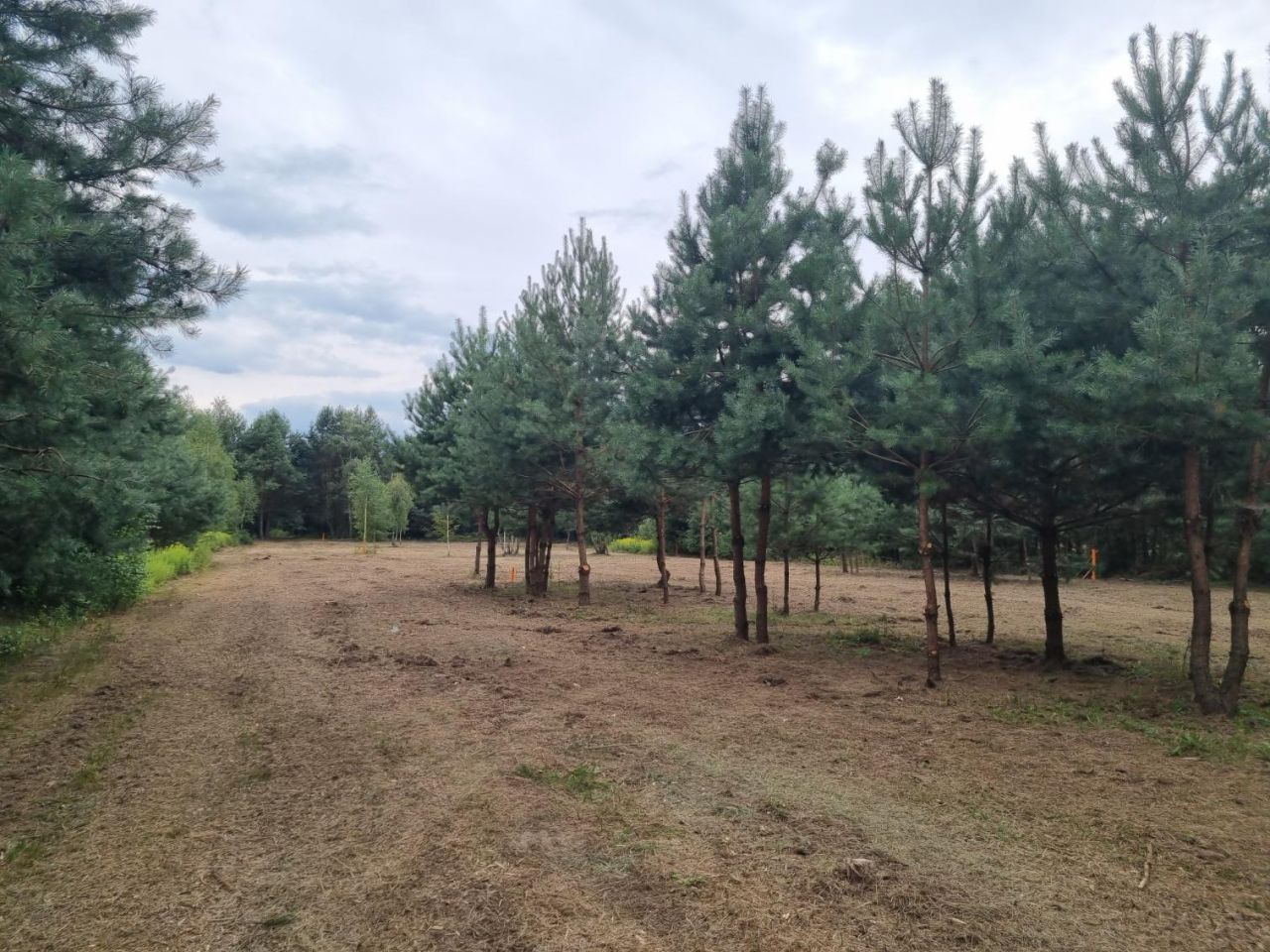 Działka rolna Dębinki, ul. Cicha. Zdjęcie 7