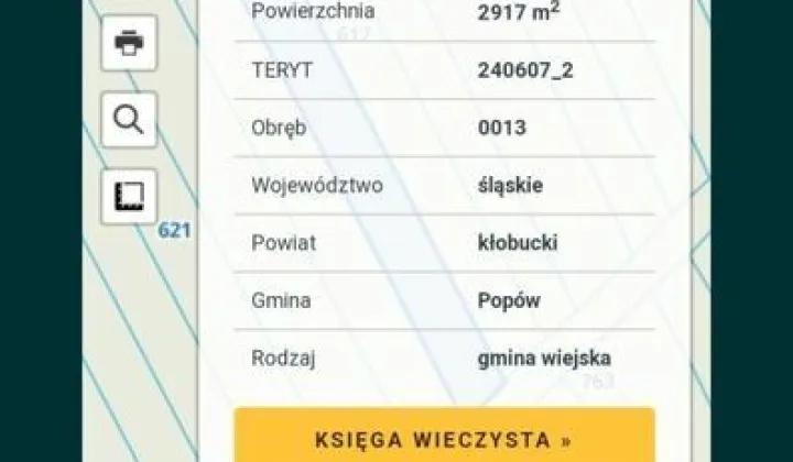 Działka leśna Rębielice Królewskie