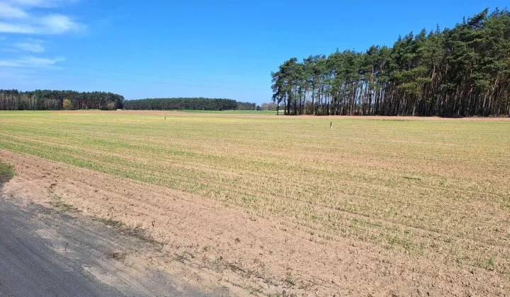 Działka budowlana Solec