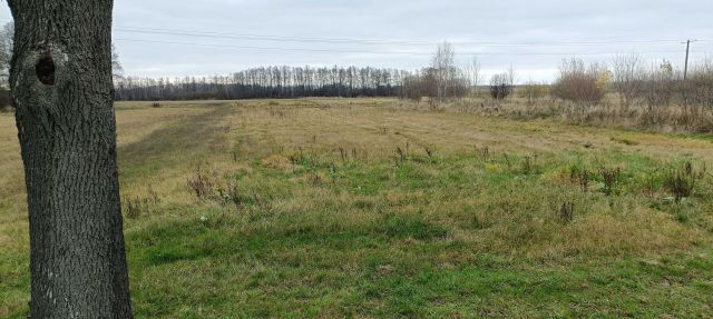 Działka rolno-budowlana Krzesk-Królowa Niwa. Zdjęcie 1