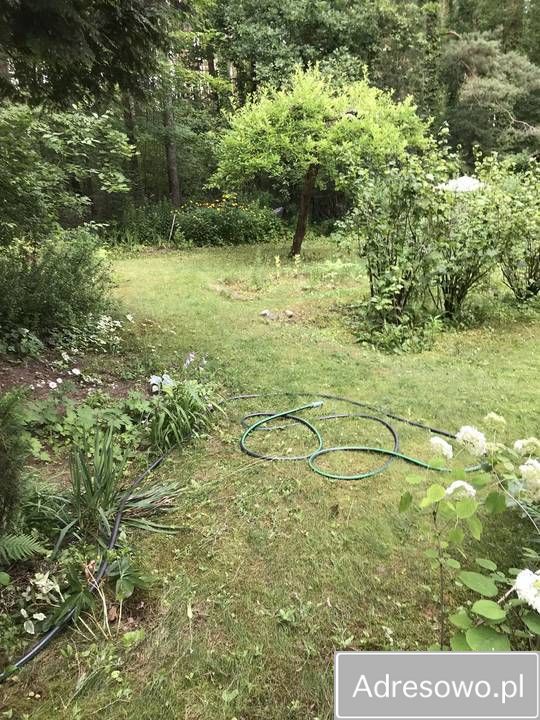 Działka rekreacyjna Wasilków, ul. Białostocka. Zdjęcie 3