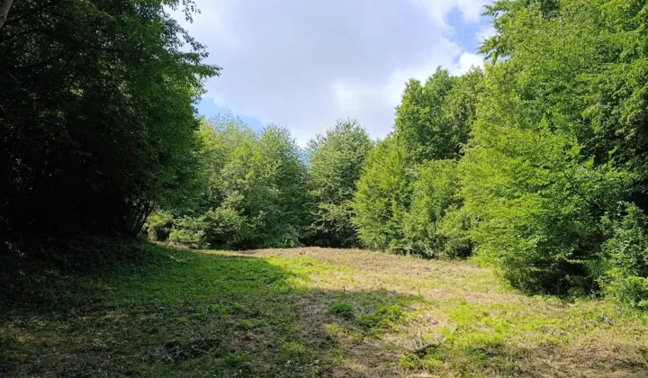 Działka budowlana Sanok Wójtostwo, ul. Kiczury