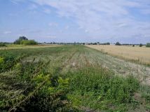 Działka siedliskowa Milęcin, Milęcin. Zdjęcie 1