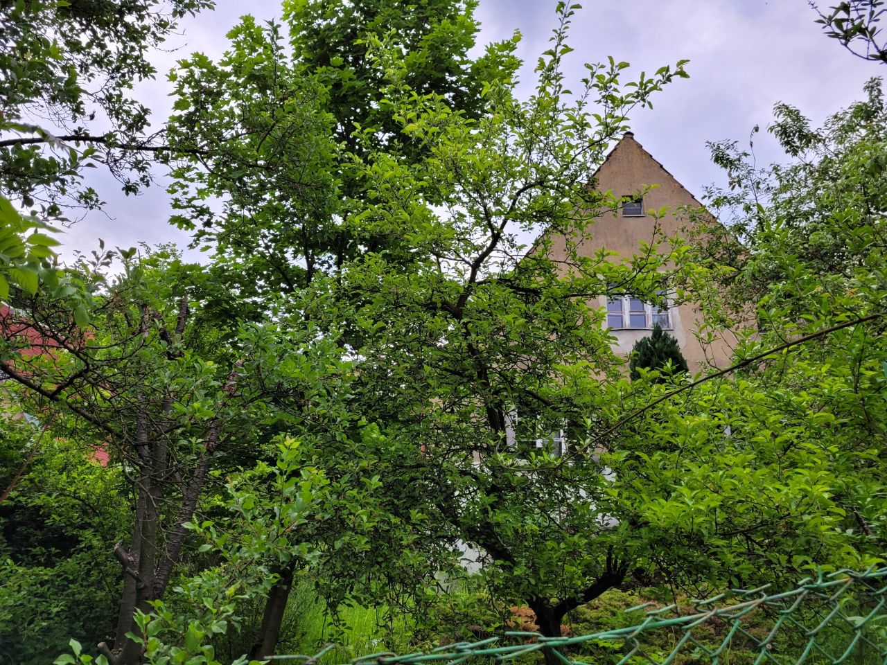 dom wolnostojący, 5 pokoi Wałbrzych Stary Zdrój, ul. Jodłowa. Zdjęcie 11