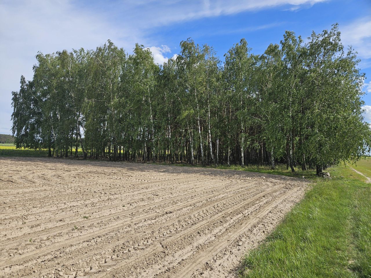 Działka budowlana Czermno. Zdjęcie 8