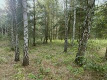 Działka budowlana Uwieliny, ul. Spokojna. Zdjęcie 4