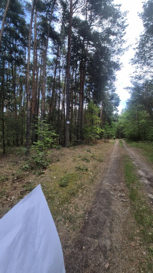Działka leśna Jamborek, Dębowa. Zdjęcie 7