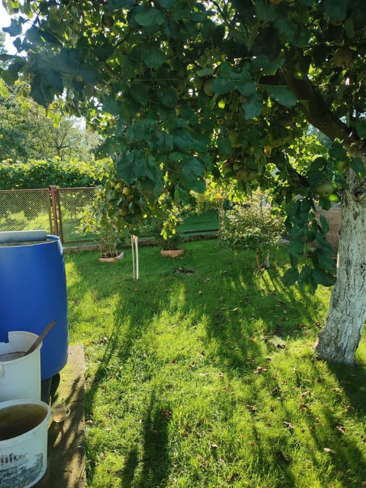 Działka rod Trzebiatów. Zdjęcie 4