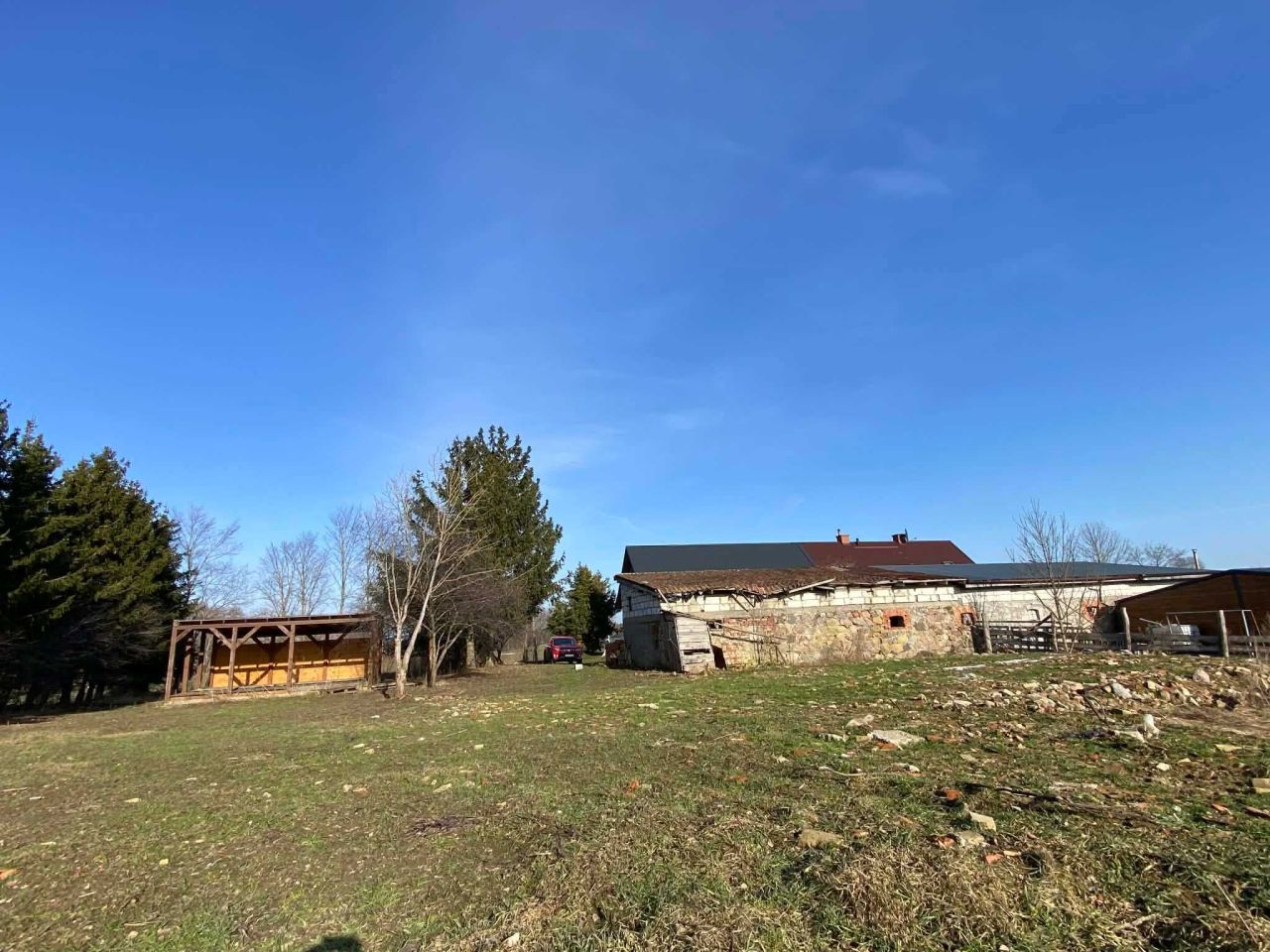 bliźniak Notyst Mały. Zdjęcie 4