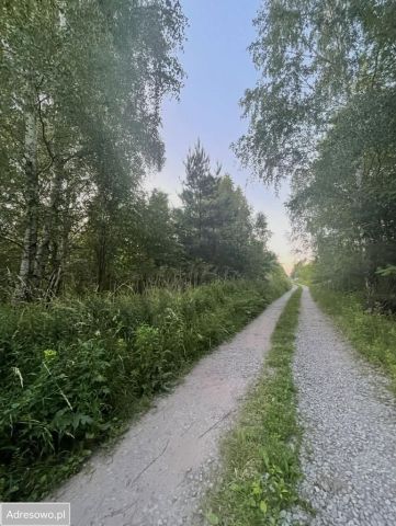 Działka rolno-budowlana Bielicha, ul. Aroniowa. Zdjęcie 1