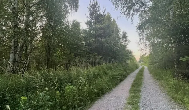 Działka rolno-budowlana Bielicha, ul. Aroniowa