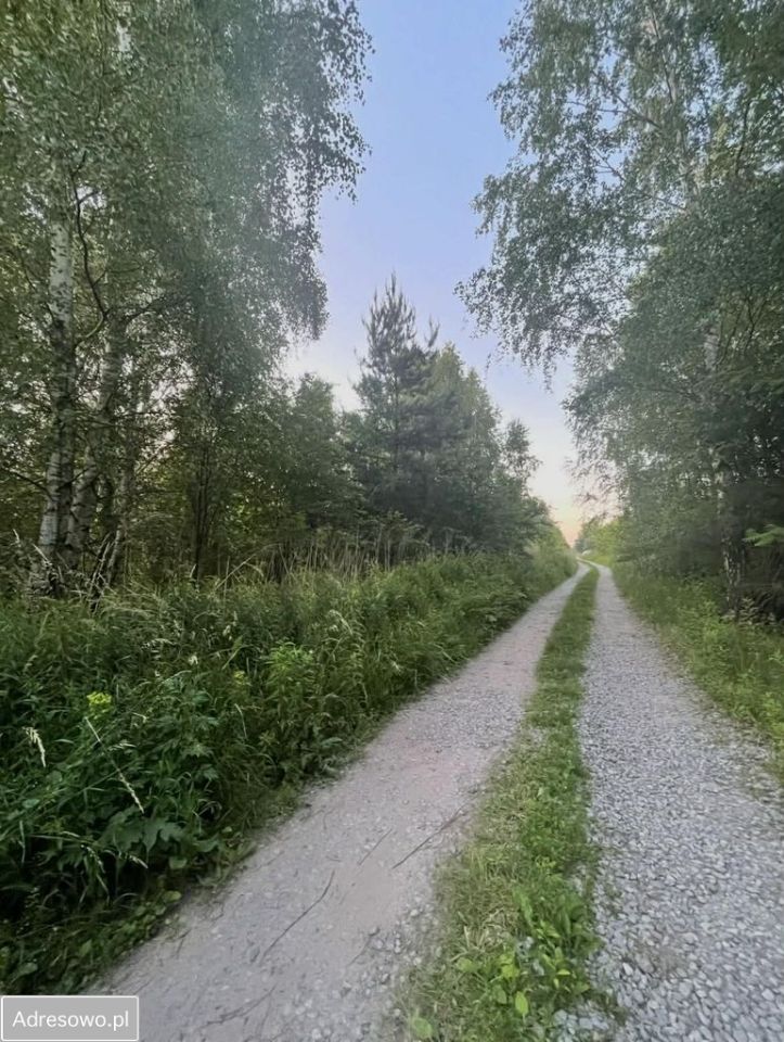 Działka rolno-budowlana Bielicha, ul. Aroniowa. Zdjęcie 1