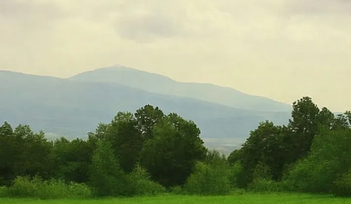 Działka rolno-budowlana Wyszki
