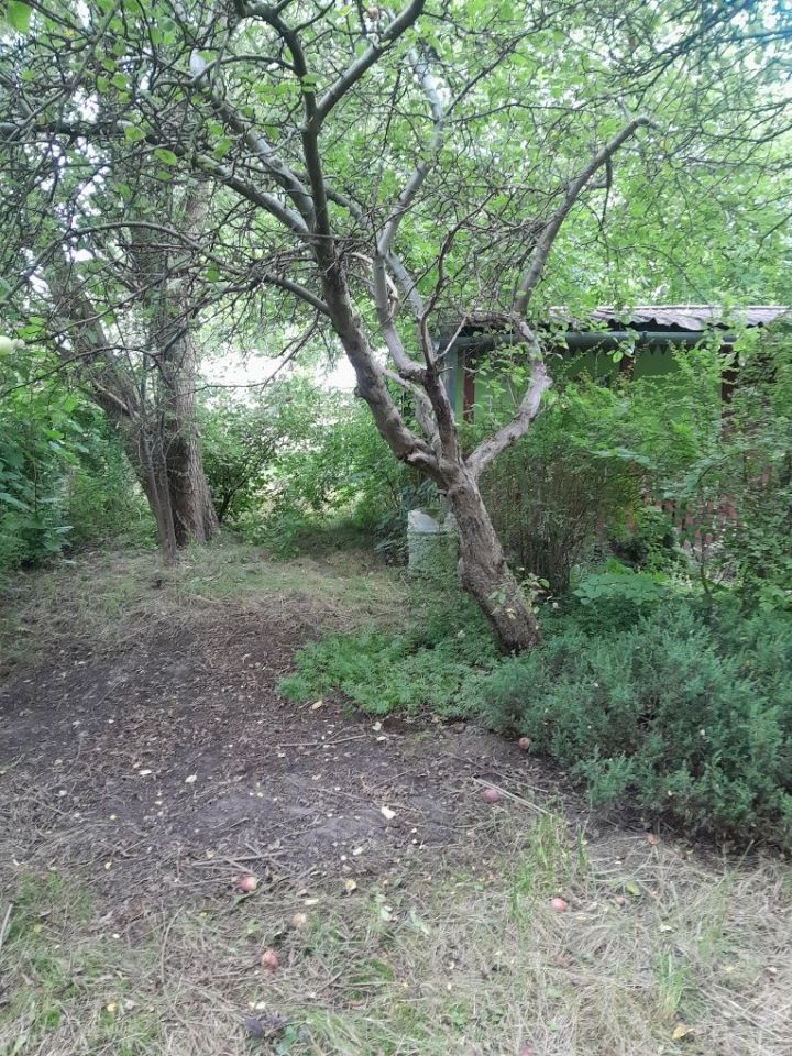 Działka rod Gierałtowice. Zdjęcie 6