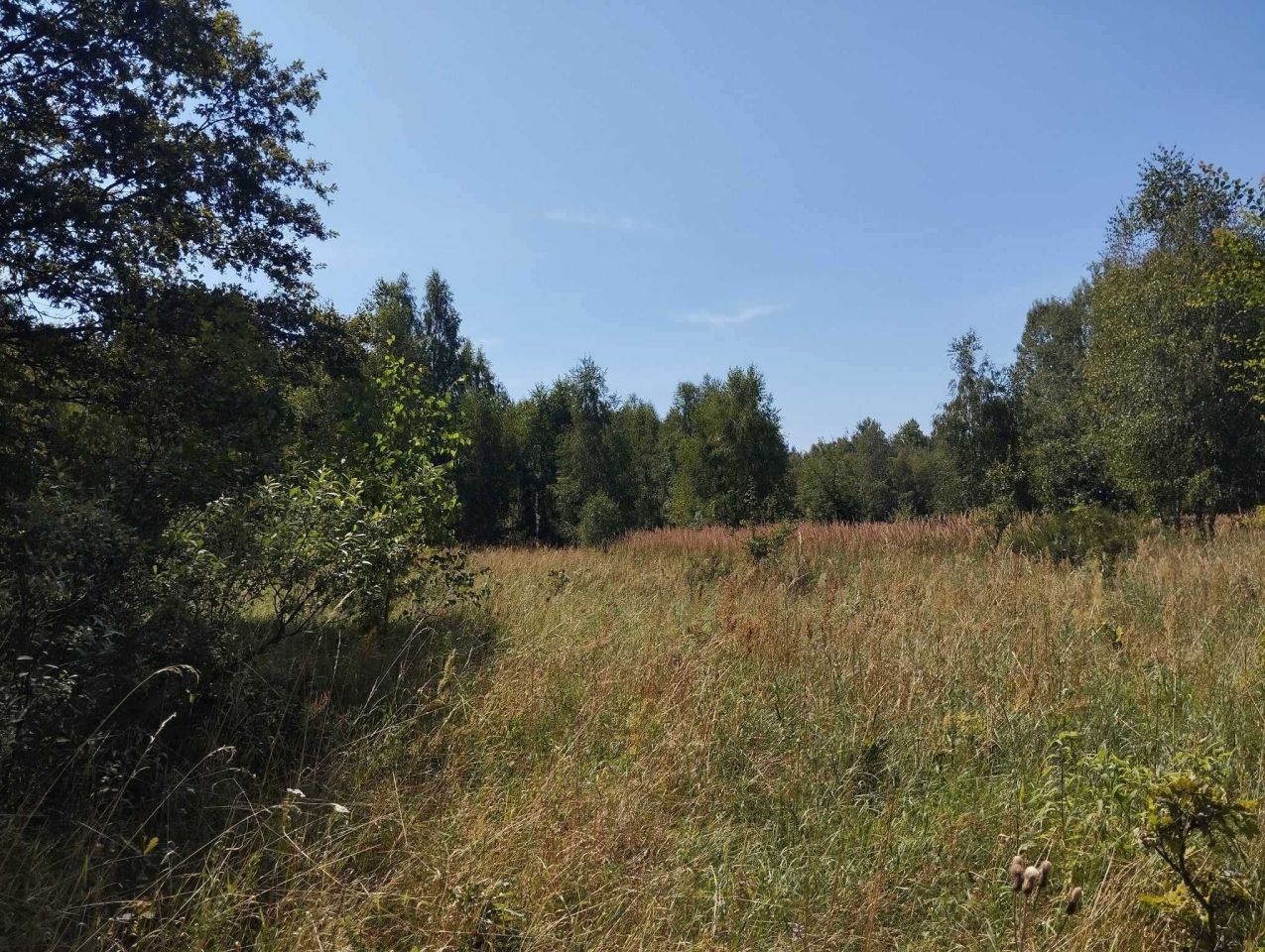 Działka rekreacyjna Pałki. Zdjęcie 4