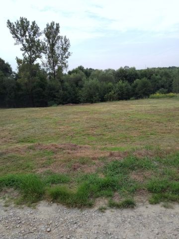 Działka rolno-budowlana Błażkowa. Zdjęcie 1