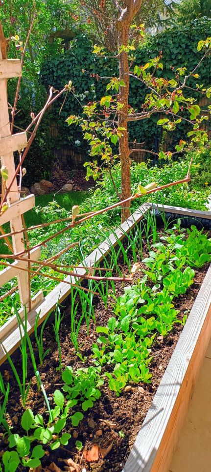 dom szeregowy, 5 pokoi Warszawa Białołęka, ul. Flisaków. Zdjęcie 13