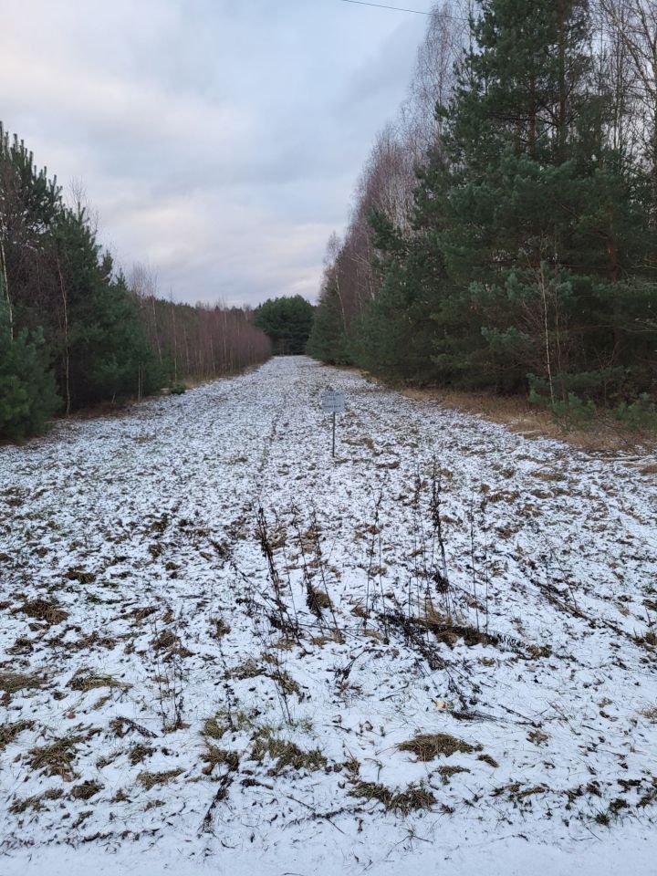 Działka rolna Zbijów Mały. Zdjęcie 3