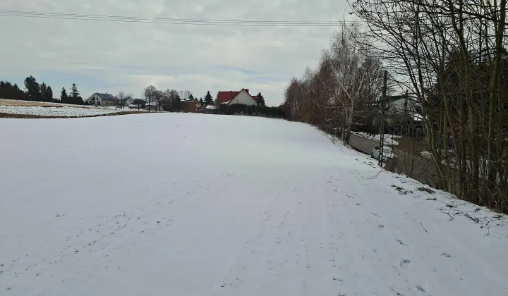 Działka budowlana Sieciechowice, ul. Długa