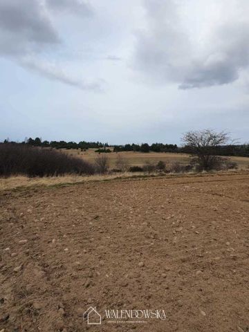 Działka rolna Gardna Wielka. Zdjęcie 2