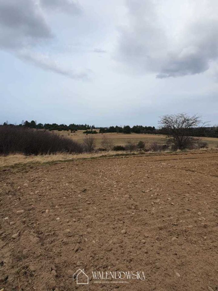 Działka rolna Gardna Wielka. Zdjęcie 2