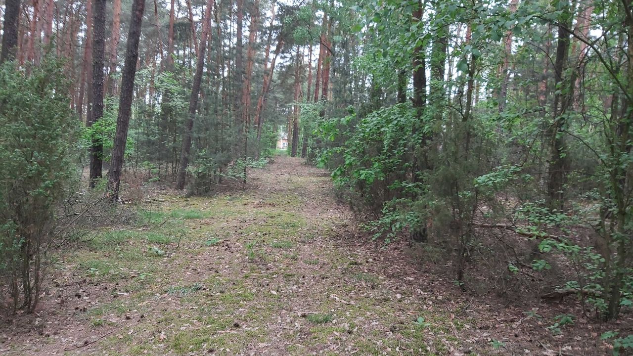 Działka Piaski. Zdjęcie 8