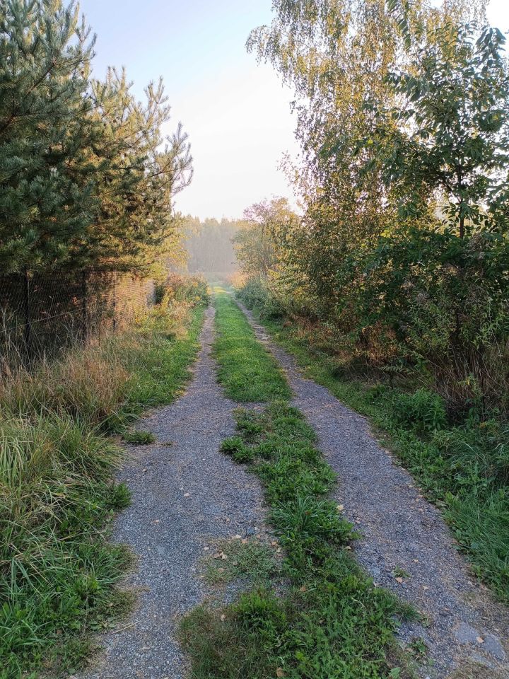 Działka rolna Jasionka. Zdjęcie 8