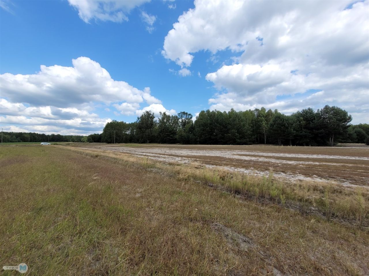 Działka rekreacyjna Kluczewsko. Zdjęcie 6