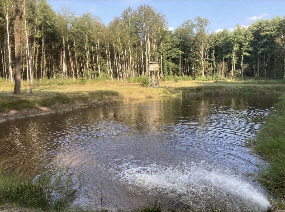 Działka rekreacyjna Irena. Zdjęcie 2