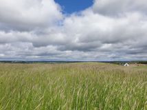 Działka budowlana Barłomino. Zdjęcie 4