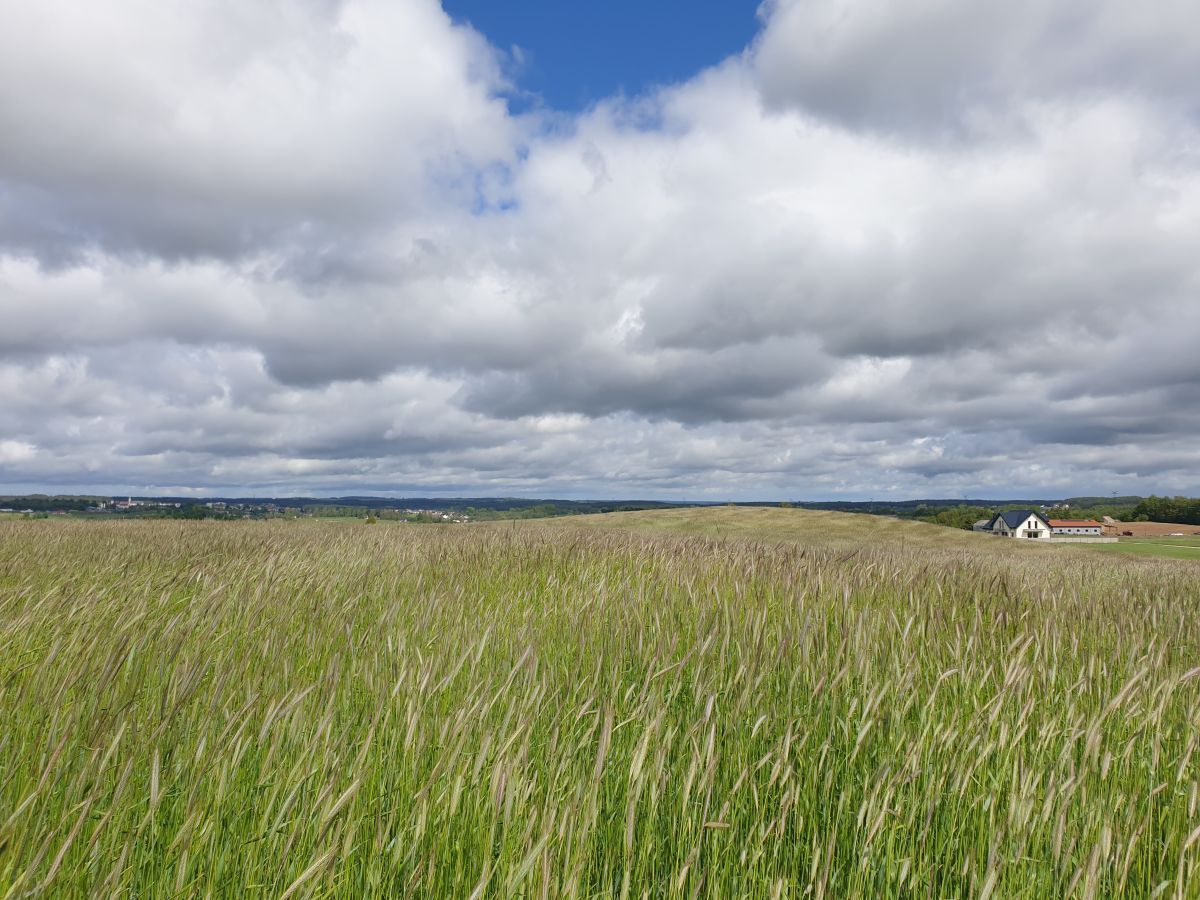 Działka budowlana Barłomino. Zdjęcie 6