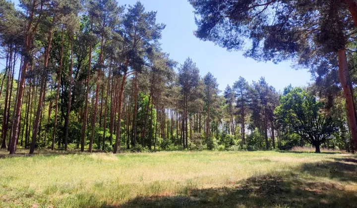Działka budowlana Jabłonna, ul. Nowotomyska