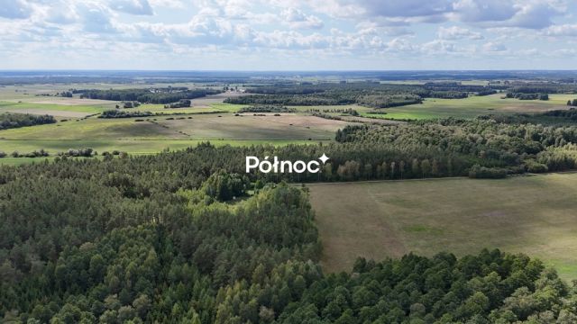 Działka leśna Pieńczykowo. Zdjęcie 1