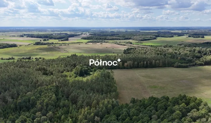 Działka leśna Pieńczykowo