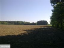 Działka inwestycyjna Cegielnia Psucka. Zdjęcie 2