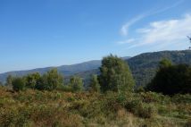 Działka inwestycyjna Brenna Leśnica, ul. Orłowa. Zdjęcie 1