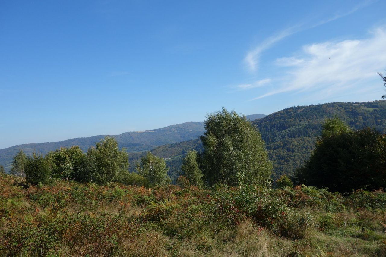 Działka inwestycyjna Brenna Leśnica, ul. Orłowa. Zdjęcie 2