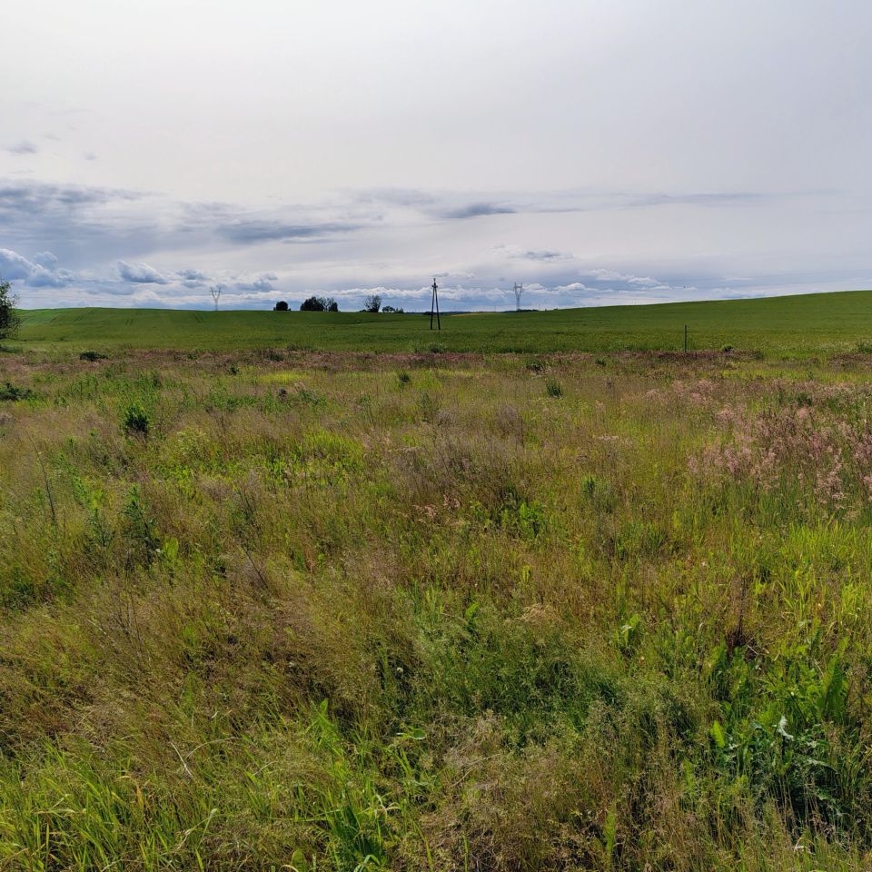 Działka budowlana Sobowidz, ul. Tadeusza Kościuszki. Zdjęcie 5