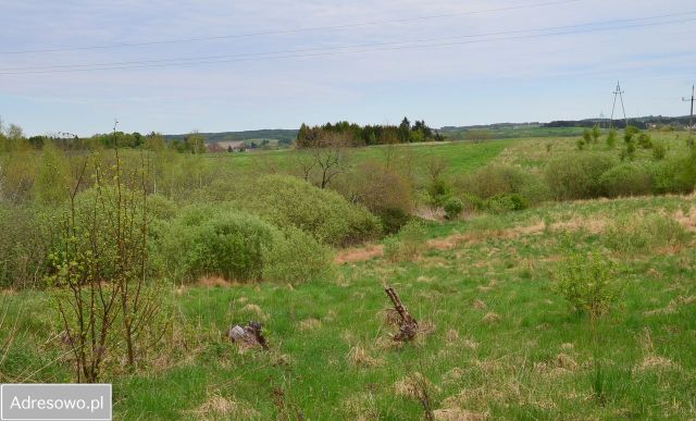 Działka budowlana Cerkiewnik. Zdjęcie 1