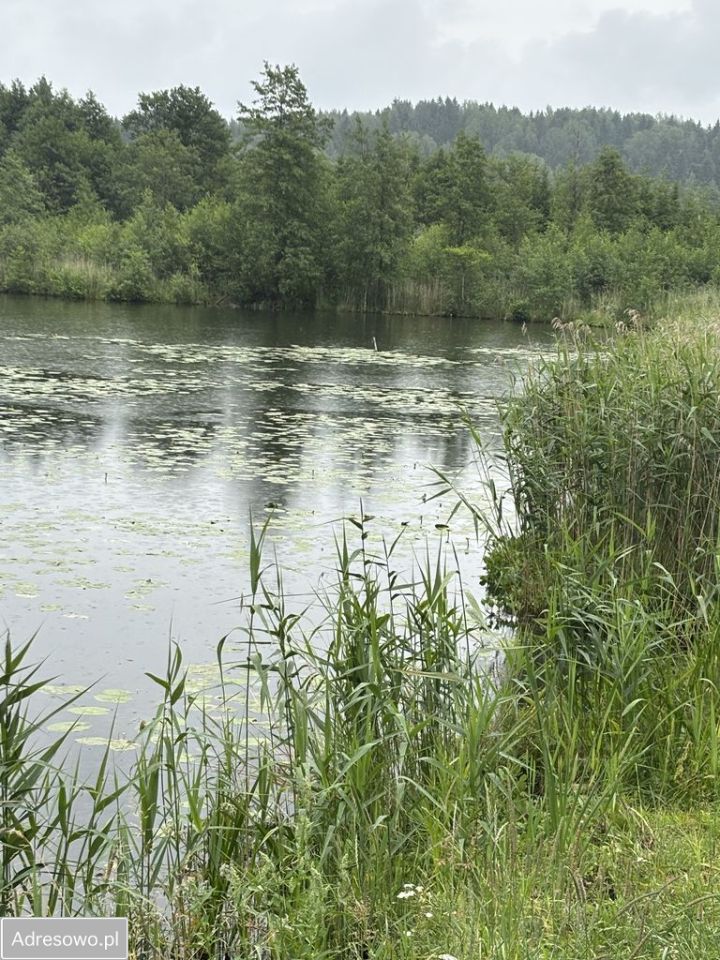 Działka rolno-budowlana Dziadówek. Zdjęcie 6