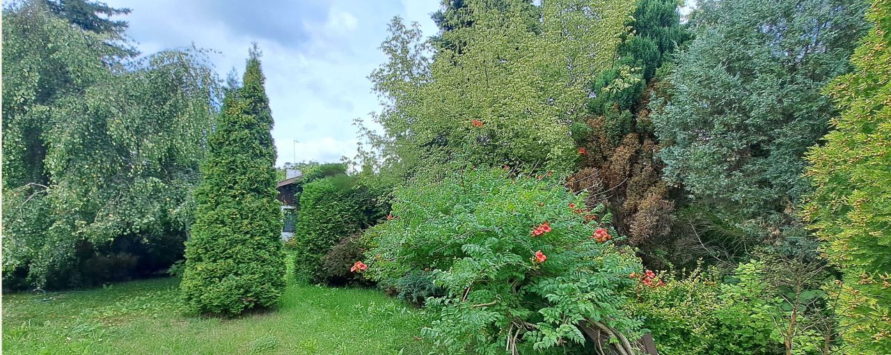 Działka rod Czyżeminek. Zdjęcie 8