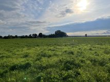 Działka budowlana Samorządki-Kolonia. Zdjęcie 3