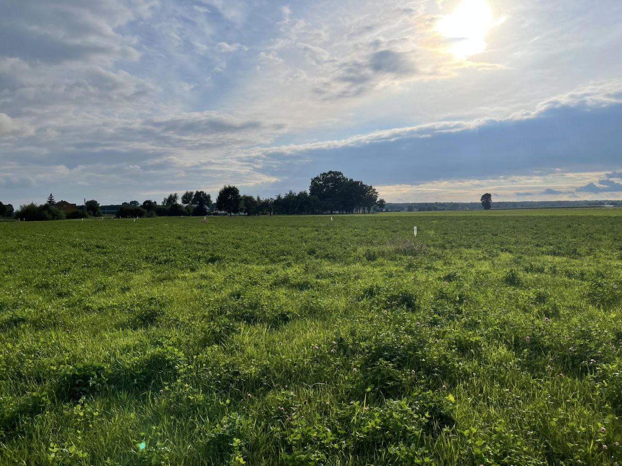 Działka budowlana Samorządki-Kolonia. Zdjęcie 4