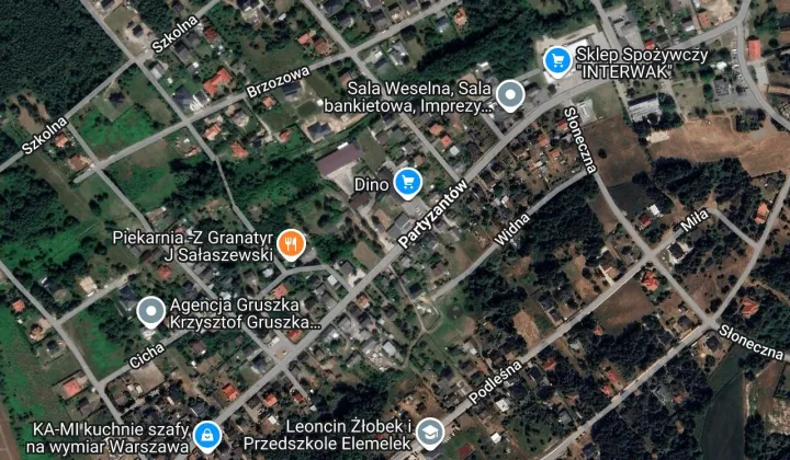 Lokal Leoncin, ul. Partyzantów