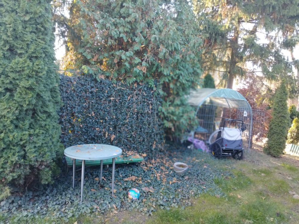 Działka rod Łomianki. Zdjęcie 7