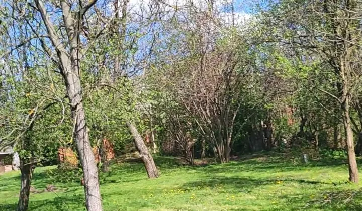 Działka rolno-budowlana Wysoka, Wysoka